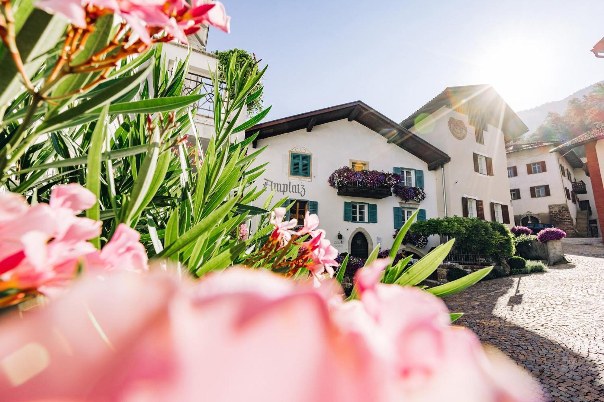 Amplatz 1523 - B&B And Suites Монтанья Экстерьер фото